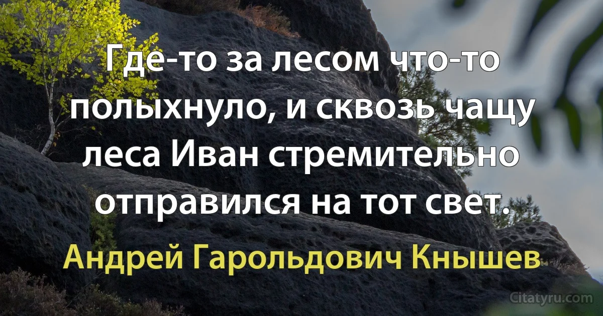 Где-то за лесом что-то полыхнуло, и сквозь чащу леса Иван стремительно отправился на тот свет. (Андрей Гарольдович Кнышев)