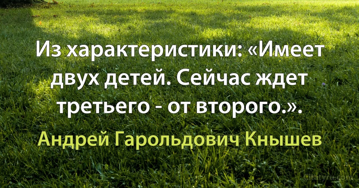 Из характеристики: «Имеет двух детей. Сейчас ждет третьего - от второго.». (Андрей Гарольдович Кнышев)