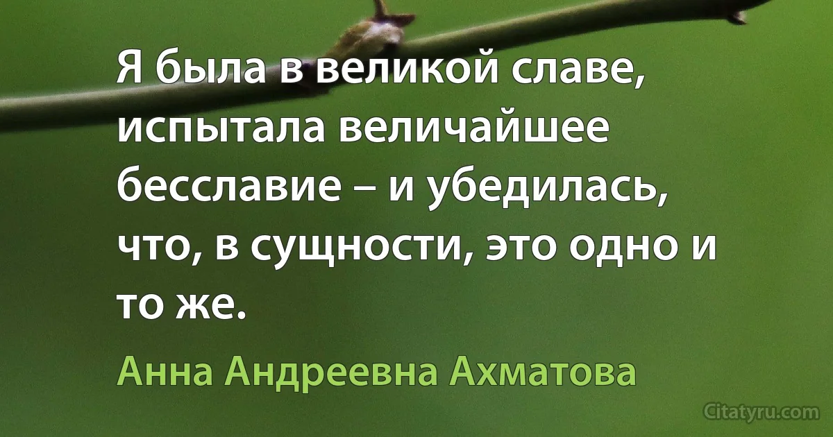 Я была в великой славе, испытала величайшее бесславие – и убедилась, что, в сущности, это одно и то же. (Анна Андреевна Ахматова)