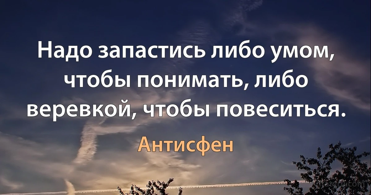 Надо запастись либо умом, чтобы понимать, либо веревкой, чтобы повеситься. (Антисфен)