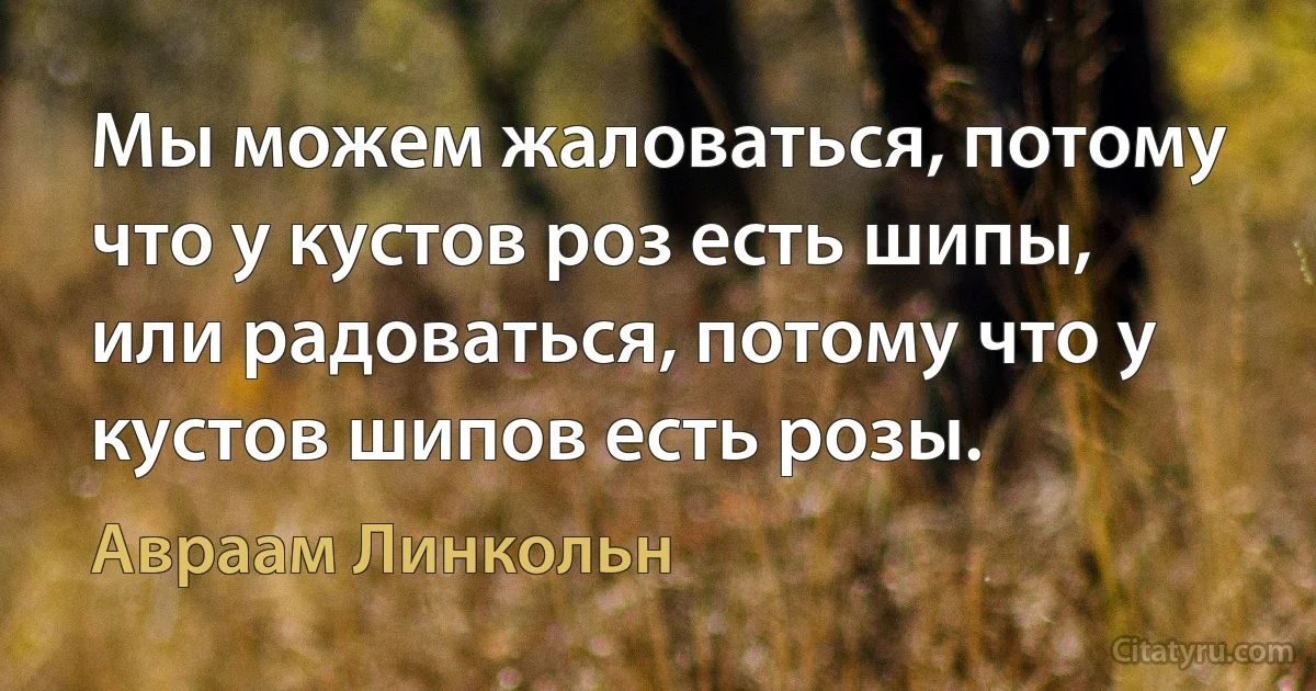 Мы можем жаловаться, потому что у кустов роз есть шипы, или радоваться, потому что у кустов шипов есть розы. (Авраам Линкольн)