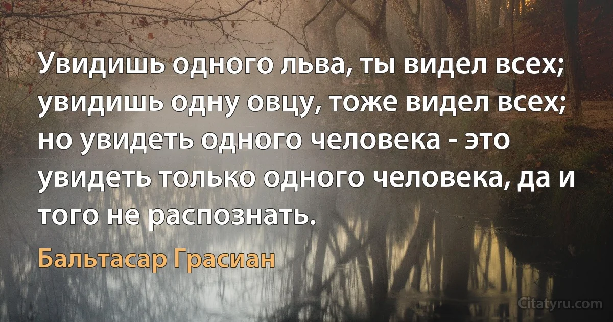 Увидишь одного льва, ты видел всех; увидишь одну овцу, тоже видел всех; но увидеть одного человека - это увидеть только одного человека, да и того не распознать. (Бальтасар Грасиан)