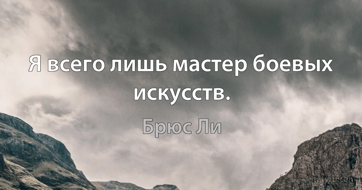 Я всего лишь мастер боевых искусств. (Брюс Ли)