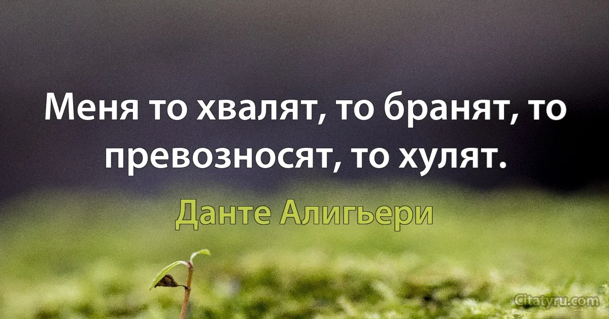 Меня то хвалят, то бранят, то превозносят, то хулят. (Данте Алигьери)