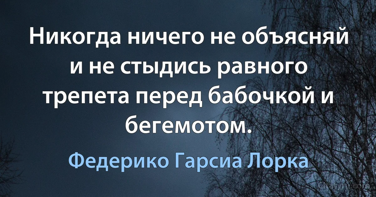 Никогда ничего не объясняй и не стыдись равного трепета перед бабочкой и бегемотом. (Федерико Гарсиа Лорка)