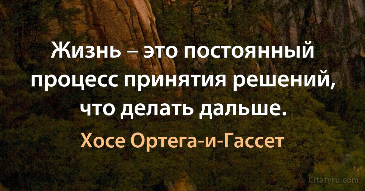 Жизнь – это постоянный процесс принятия решений, что делать дальше. (Хосе Ортега-и-Гассет)