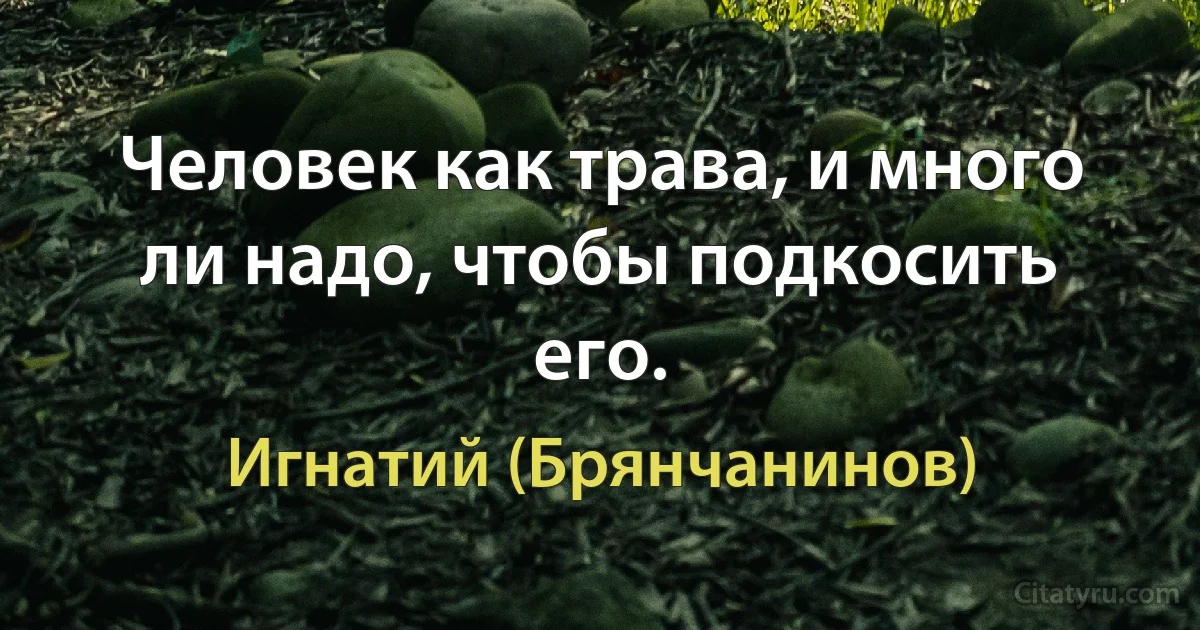 Человек как трава, и много ли надо, чтобы подкосить его. (Игнатий (Брянчанинов))