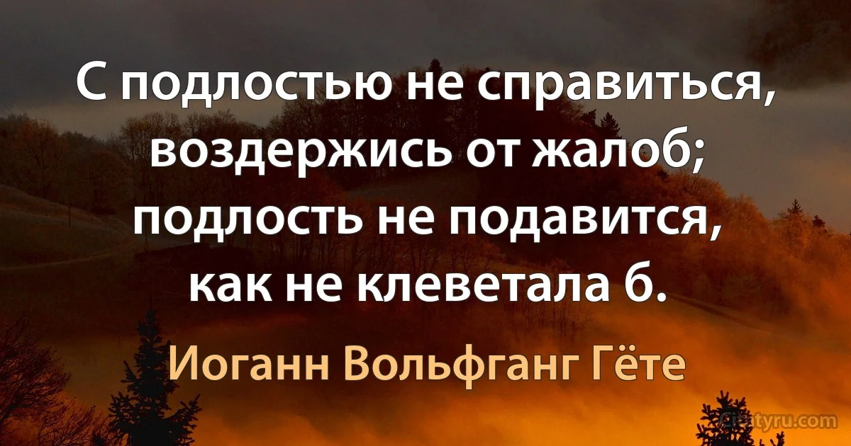 С подлостью не справиться,
воздержись от жалоб;
подлость не подавится,
как не клеветала б. (Иоганн Вольфганг Гёте)