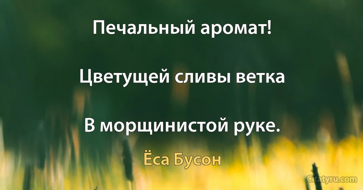 Печальный аромат!

Цветущей сливы ветка

В морщинистой руке. (Ёса Бусон)