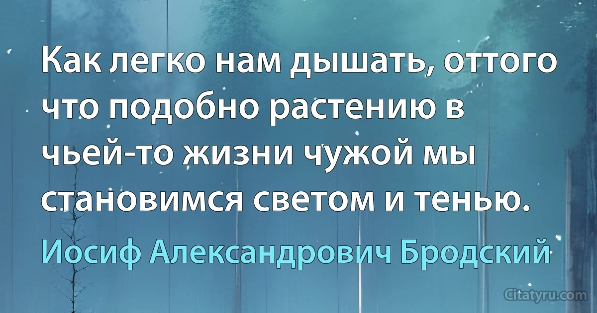 Как легко нам дышать, оттого что подобно растению в чьей-то жизни чужой мы становимся светом и тенью. (Иосиф Александрович Бродский)