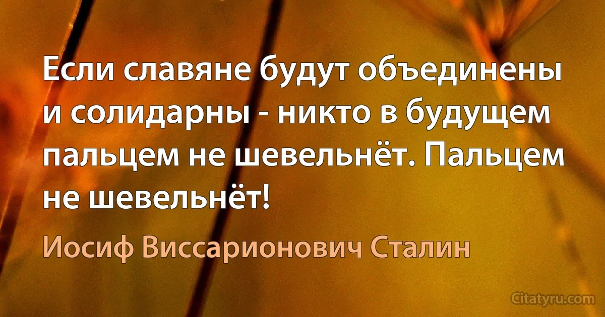 Если славяне будут объединены и солидарны - никто в будущем пальцем не шевельнёт. Пальцем не шевельнёт! (Иосиф Виссарионович Сталин)