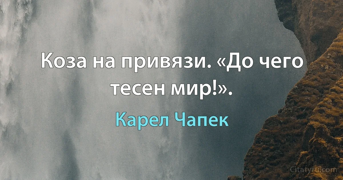 Коза на привязи. «До чего тесен мир!». (Карел Чапек)