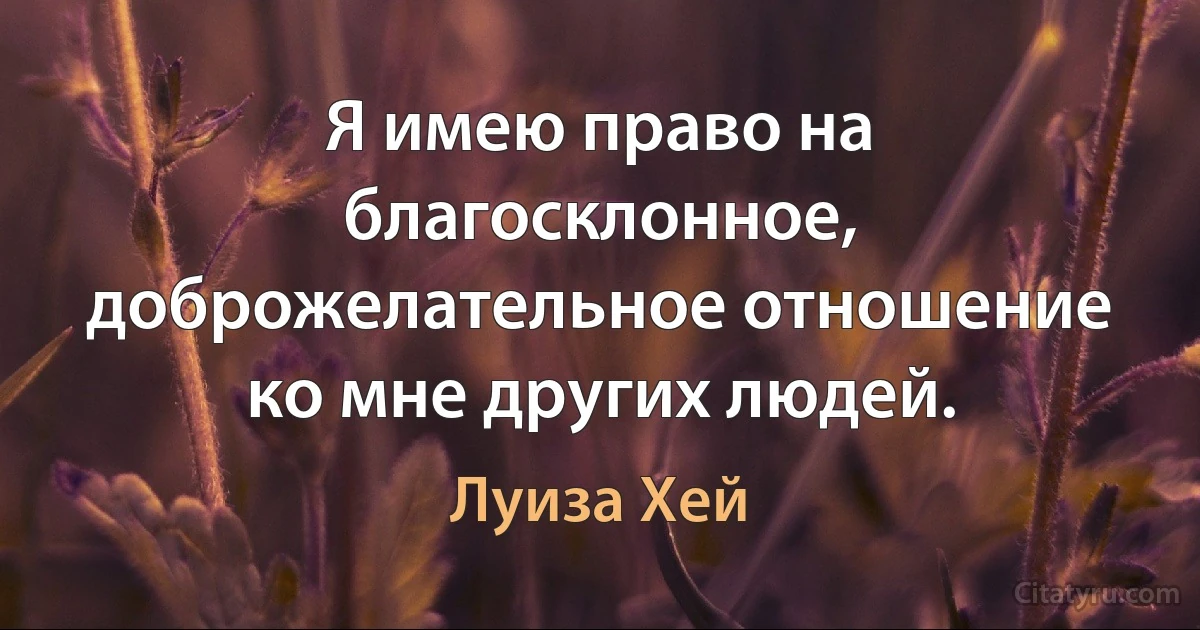 Я имею право на благосклонное, доброжелательное отношение ко мне других людей. (Луиза Хей)