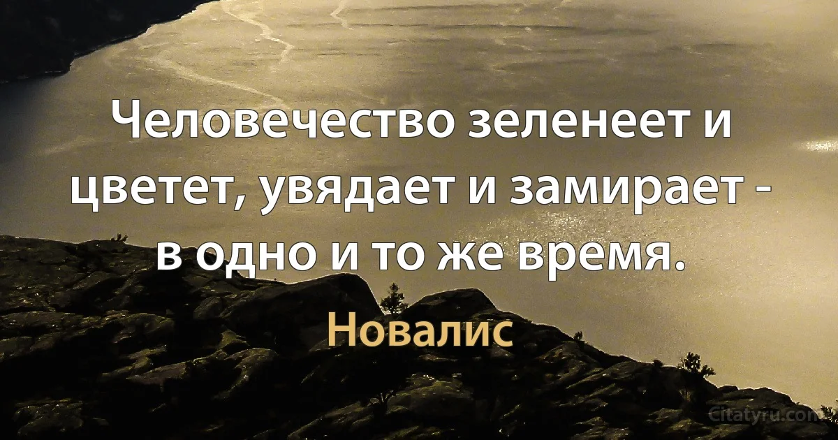 Человечество зеленеет и цветет, увядает и замирает - в одно и то же время. (Новалис)