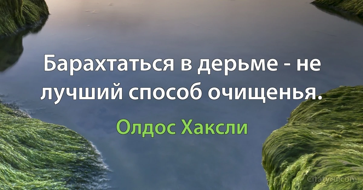 Барахтаться в дерьме - не лучший способ очищенья. (Олдос Хаксли)