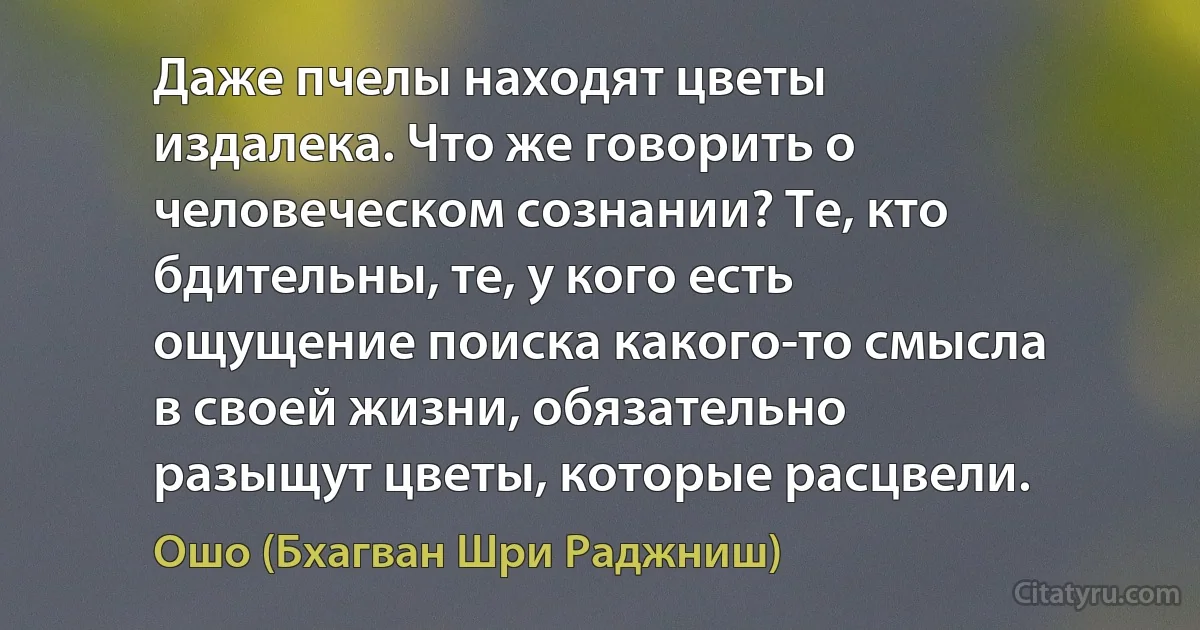 Даже пчелы находят цветы
издалека. Что же говорить о
человеческом сознании? Те, кто
бдительны, те, у кого есть
ощущение поиска какого-то смысла
в своей жизни, обязательно
разыщут цветы, которые расцвели. (Ошо (Бхагван Шри Раджниш))