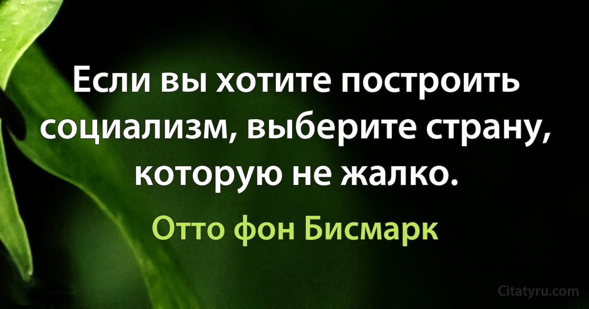 Если вы хотите построить социализм, выберите страну, которую не жалко. (Отто фон Бисмарк)