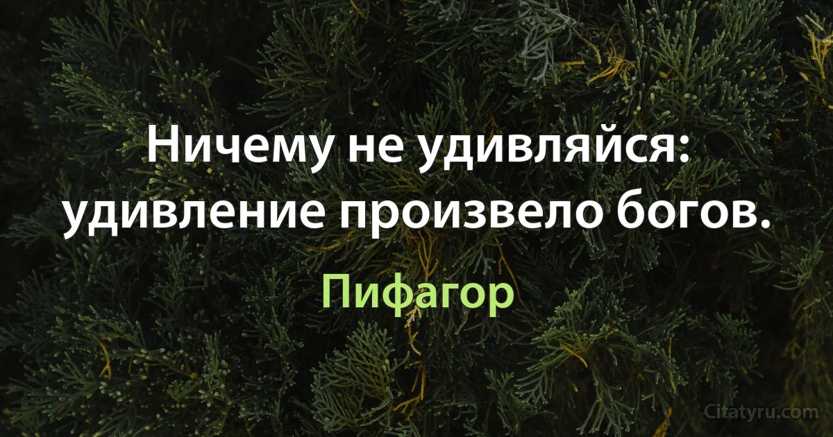 Ничему не удивляйся: удивление произвело богов. (Пифагор)