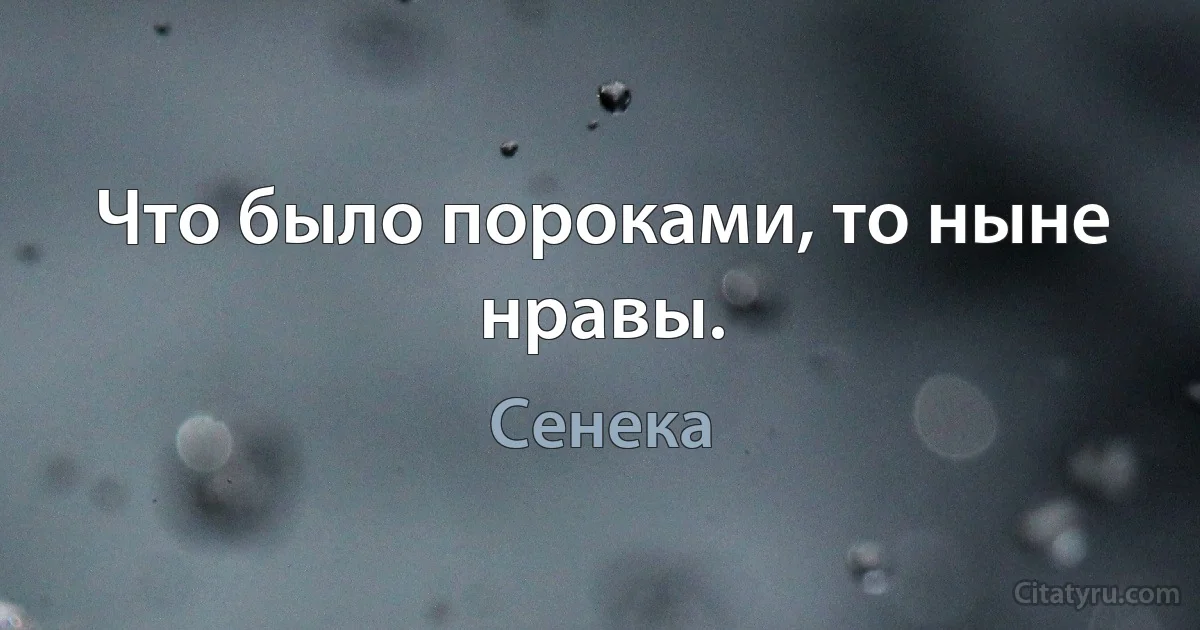 Что было пороками, то ныне нравы. (Сенека)