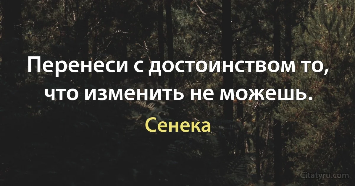 Перенеси с достоинством то, что изменить не можешь. (Сенека)