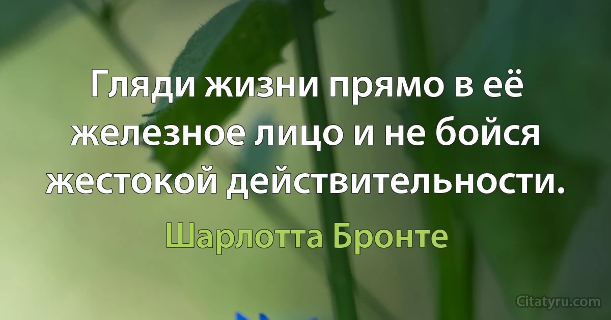 Гляди жизни прямо в её железное лицо и не бойся жестокой действительности. (Шарлотта Бронте)