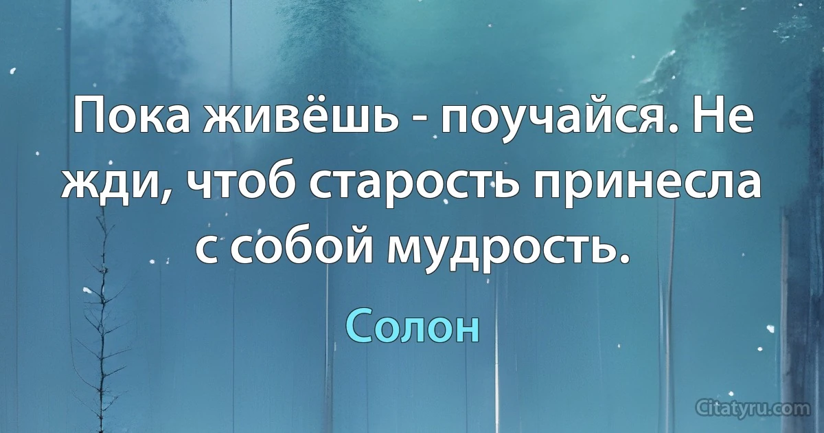 Пока живёшь - поучайся. Не жди, чтоб старость принесла с собой мудрость. (Солон)