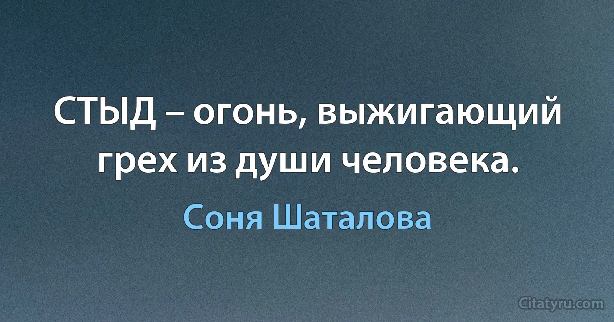 СТЫД – огонь, выжигающий грех из души человека. (Соня Шаталова)