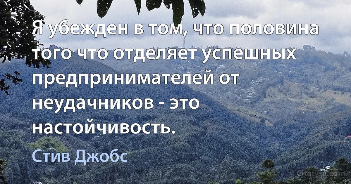 Я убежден в том, что половина того что отделяет успешных предпринимателей от неудачников - это настойчивость. (Стив Джобс)