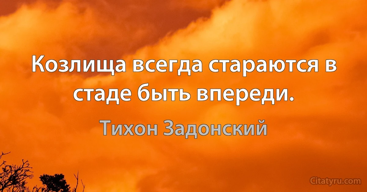 Козлища всегда стараются в стаде быть впереди. (Тихон Задонский)