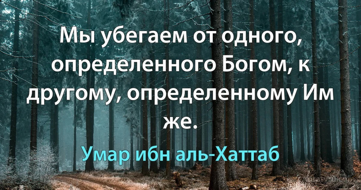 Мы убегаем от одного, определенного Богом, к другому, определенному Им же. (Умар ибн аль-Хаттаб)