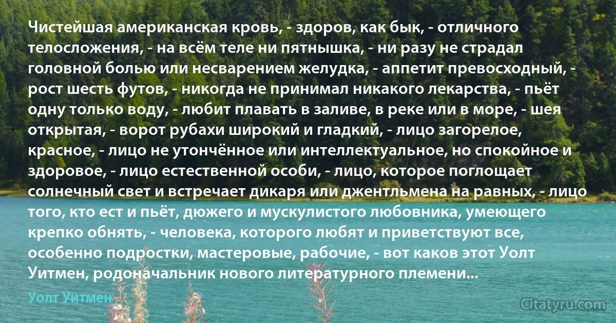 Чистейшая американская кровь, - здоров, как бык, - отличного телосложения, - на всём теле ни пятнышка, - ни разу не страдал головной болью или несварением желудка, - аппетит превосходный, - рост шесть футов, - никогда не принимал никакого лекарства, - пьёт одну только воду, - любит плавать в заливе, в реке или в море, - шея открытая, - ворот рубахи широкий и гладкий, - лицо загорелое, красное, - лицо не утончённое или интеллектуальное, но спокойное и здоровое, - лицо естественной особи, - лицо, которое поглощает солнечный свет и встречает дикаря или джентльмена на равных, - лицо того, кто ест и пьёт, дюжего и мускулистого любовника, умеющего крепко обнять, - человека, которого любят и приветствуют все, особенно подростки, мастеровые, рабочие, - вот каков этот Уолт Уитмен, родоначальник нового литературного племени... (Уолт Уитмен)