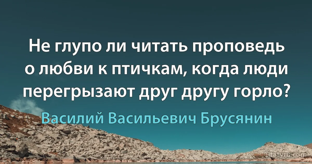 Не глупо ли читать проповедь о любви к птичкам, когда люди перегрызают друг другу горло? (Василий Васильевич Брусянин)