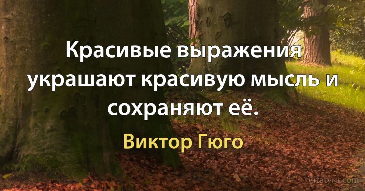 Красивые выражения украшают красивую мысль и сохраняют её. (Виктор Гюго)