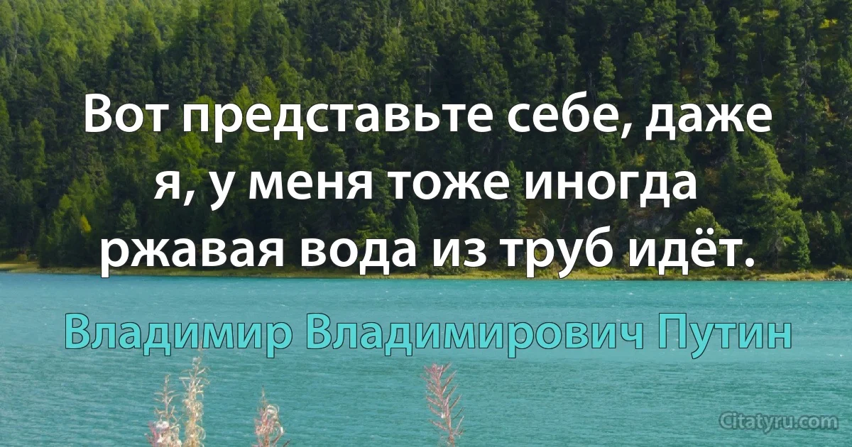 Вот представьте себе, даже я, у меня тоже иногда ржавая вода из труб идёт. (Владимир Владимирович Путин)