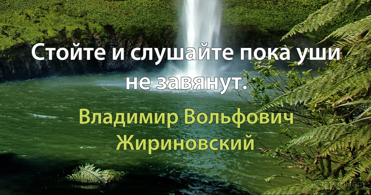 Стойте и слушайте пока уши не завянут. (Владимир Вольфович Жириновский)