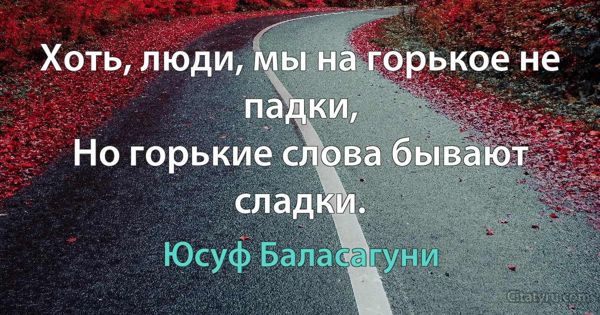 Хоть, люди, мы на горькое не падки,
Но горькие слова бывают сладки. (Юсуф Баласагуни)