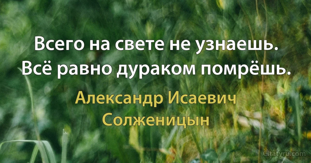 Всего на свете не узнаешь. Всё равно дураком помрёшь. (Александр Исаевич Солженицын)