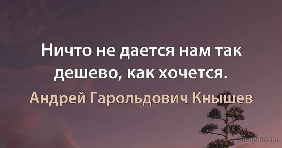 Ничто не дается нам так дешево, как хочется. (Андрей Гарольдович Кнышев)