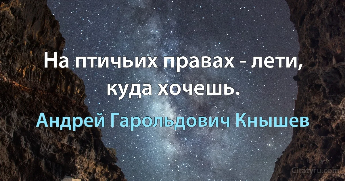 На птичьих правах - лети, куда хочешь. (Андрей Гарольдович Кнышев)