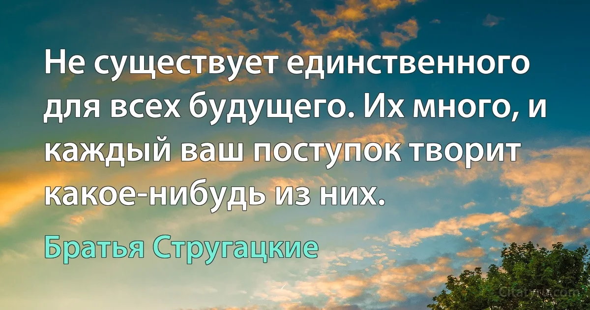 Не существует единственного для всех будущего. Их много, и каждый ваш поступок творит какое-нибудь из них. (Братья Стругацкие)