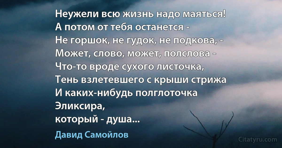 Неужели всю жизнь надо маяться!
А потом от тебя останется -
Не горшок, не гудок, не подкова, -
Может, слово, может, полслова -
Что-то вроде сухого листочка,
Тень взлетевшего с крыши стрижа
И каких-нибудь полглоточка
Эликсира,
который - душа... (Давид Самойлов)