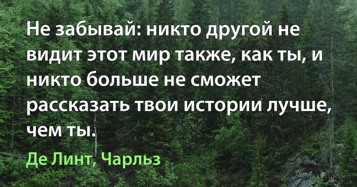 Не забывай: никто другой не видит этот мир также, как ты, и никто больше не сможет рассказать твои истории лучше, чем ты. (Де Линт, Чарльз)