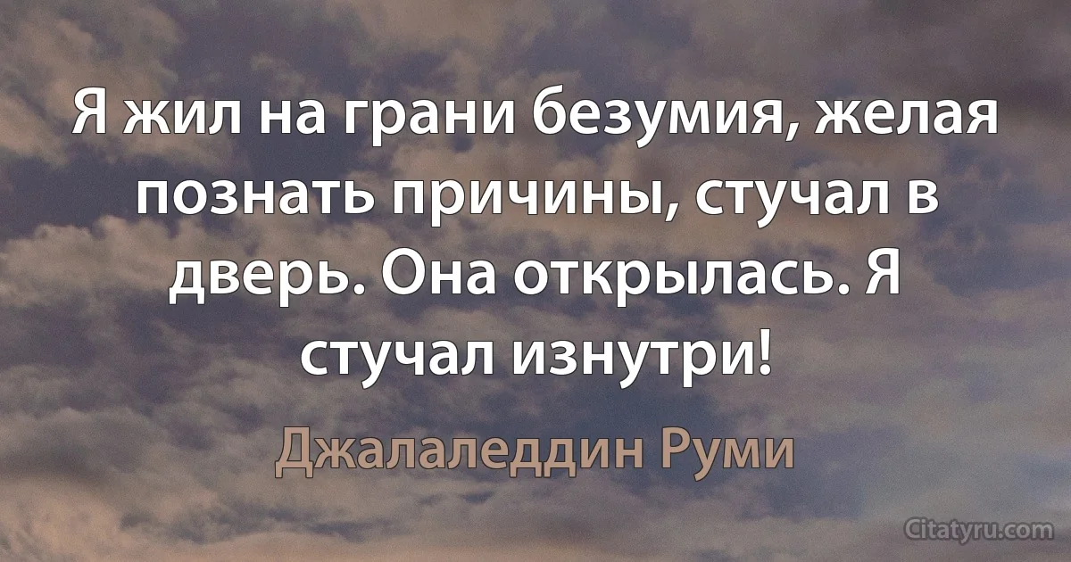 Я жил на грани безумия, желая познать причины, стучал в дверь. Она открылась. Я стучал изнутри! (Джалаледдин Руми)