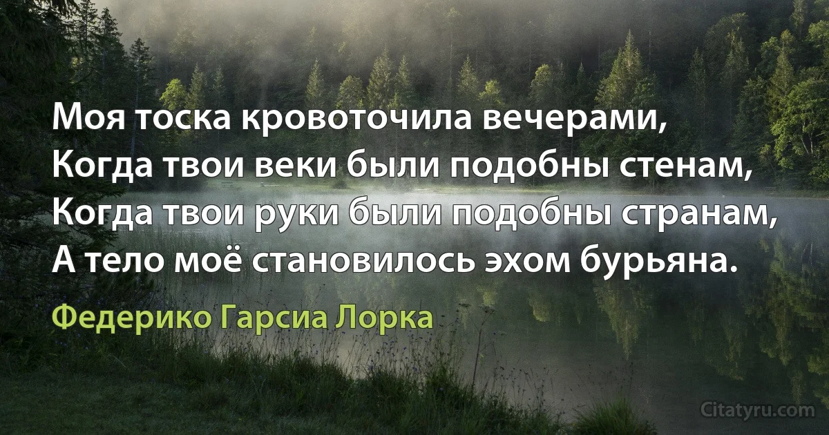 Моя тоска кровоточила вечерами,
Когда твои веки были подобны стенам,
Когда твои руки были подобны странам,
А тело моё становилось эхом бурьяна. (Федерико Гарсиа Лорка)