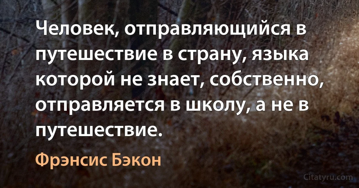 Человек, отправляющийся в путешествие в страну, языка которой не знает, собственно, отправляется в школу, а не в путешествие. (Фрэнсис Бэкон)