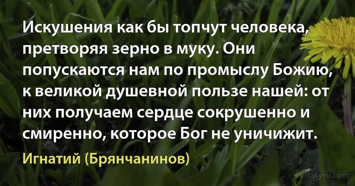 Искушения как бы топчут человека, претворяя зерно в муку. Они попускаются нам по промыслу Божию, к великой душевной пользе нашей: от них получаем сердце сокрушенно и смиренно, которое Бог не уничижит. (Игнатий (Брянчанинов))