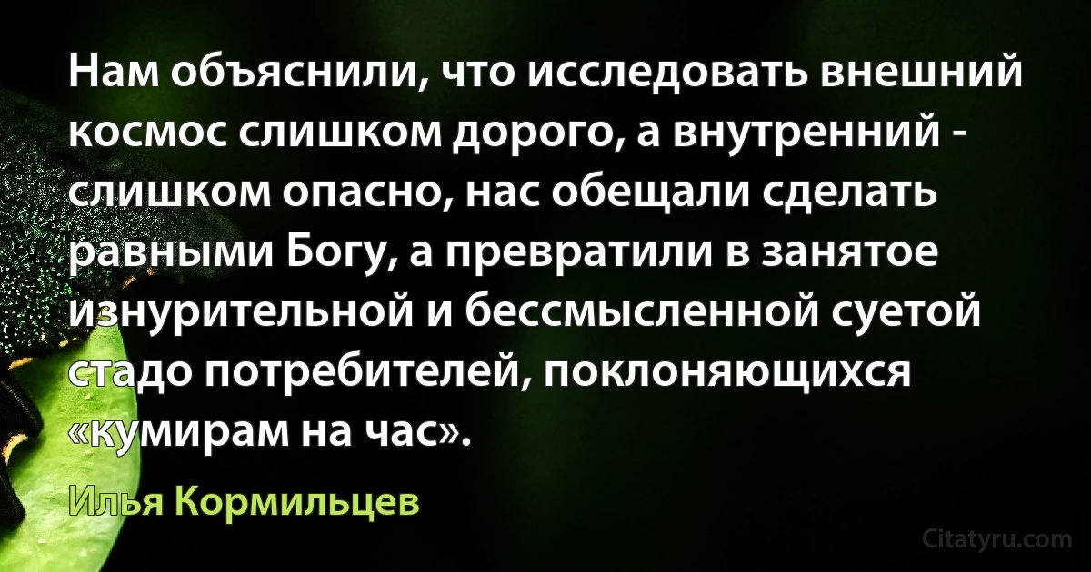 Нам объяснили, что исследовать внешний космос слишком дорого, а внутренний - слишком опасно, нас обещали сделать равными Богу, а превратили в занятое изнурительной и бессмысленной суетой стадо потребителей, поклоняющихся «кумирам на час». (Илья Кормильцев)