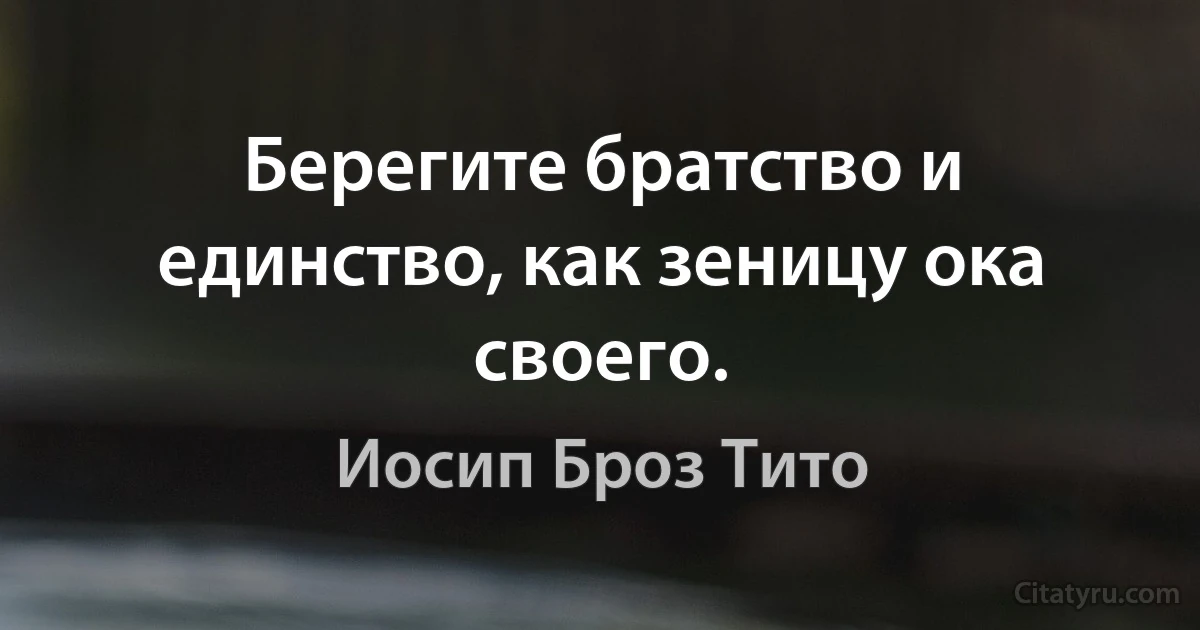 Берегите братство и единство, как зеницу ока своего. (Иосип Броз Тито)