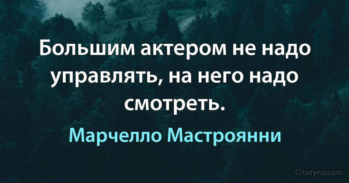 Большим актером не надо управлять, на него надо смотреть. (Марчелло Мастроянни)