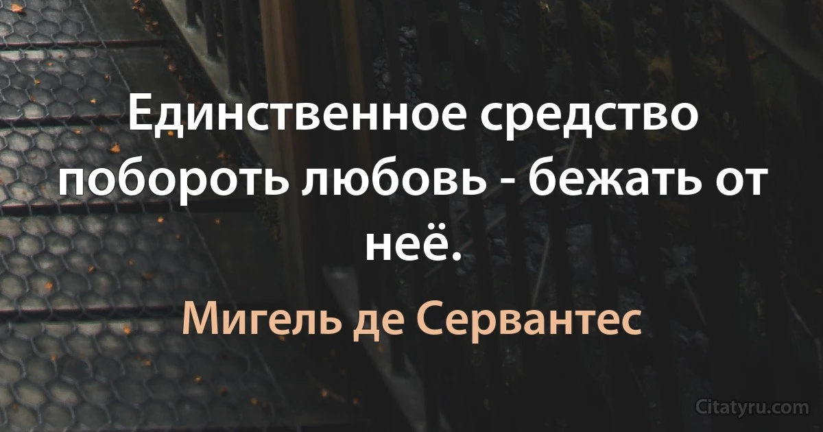 Единственное средство побороть любовь - бежать от неё. (Мигель де Сервантес)